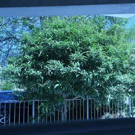Nespula * Kastela